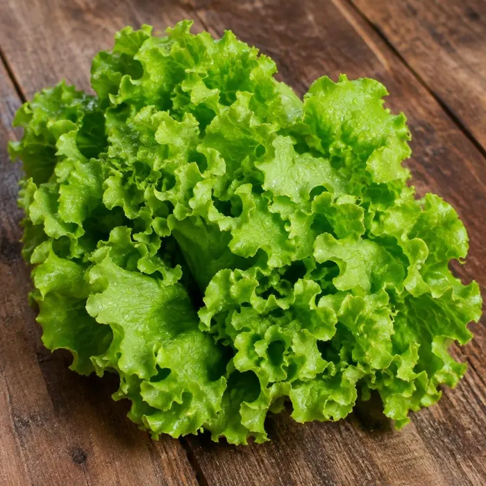 Alface crespa