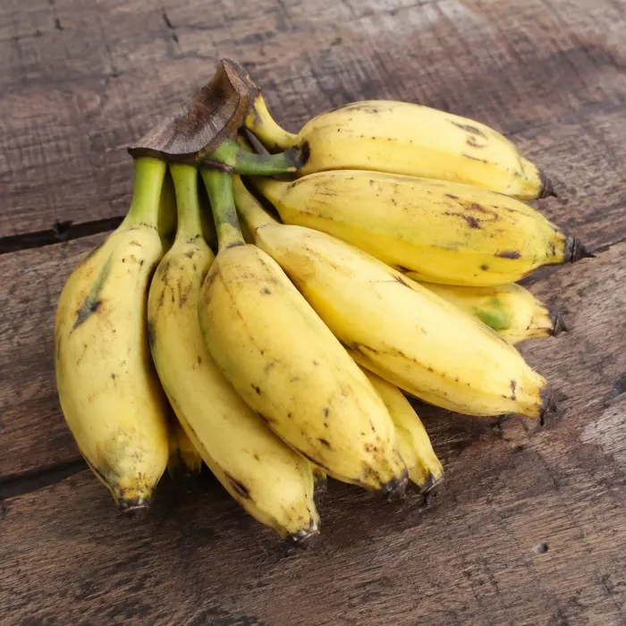 Banana-prata