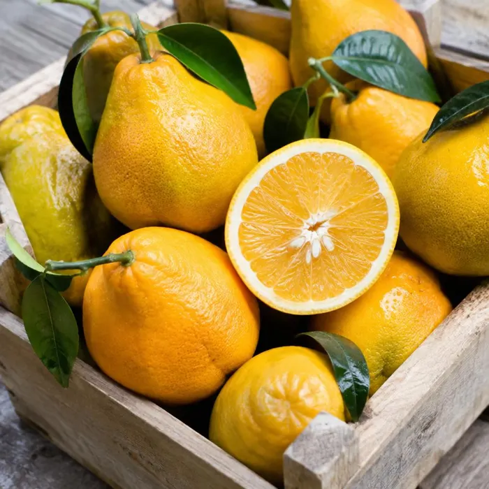 Laranja-pera